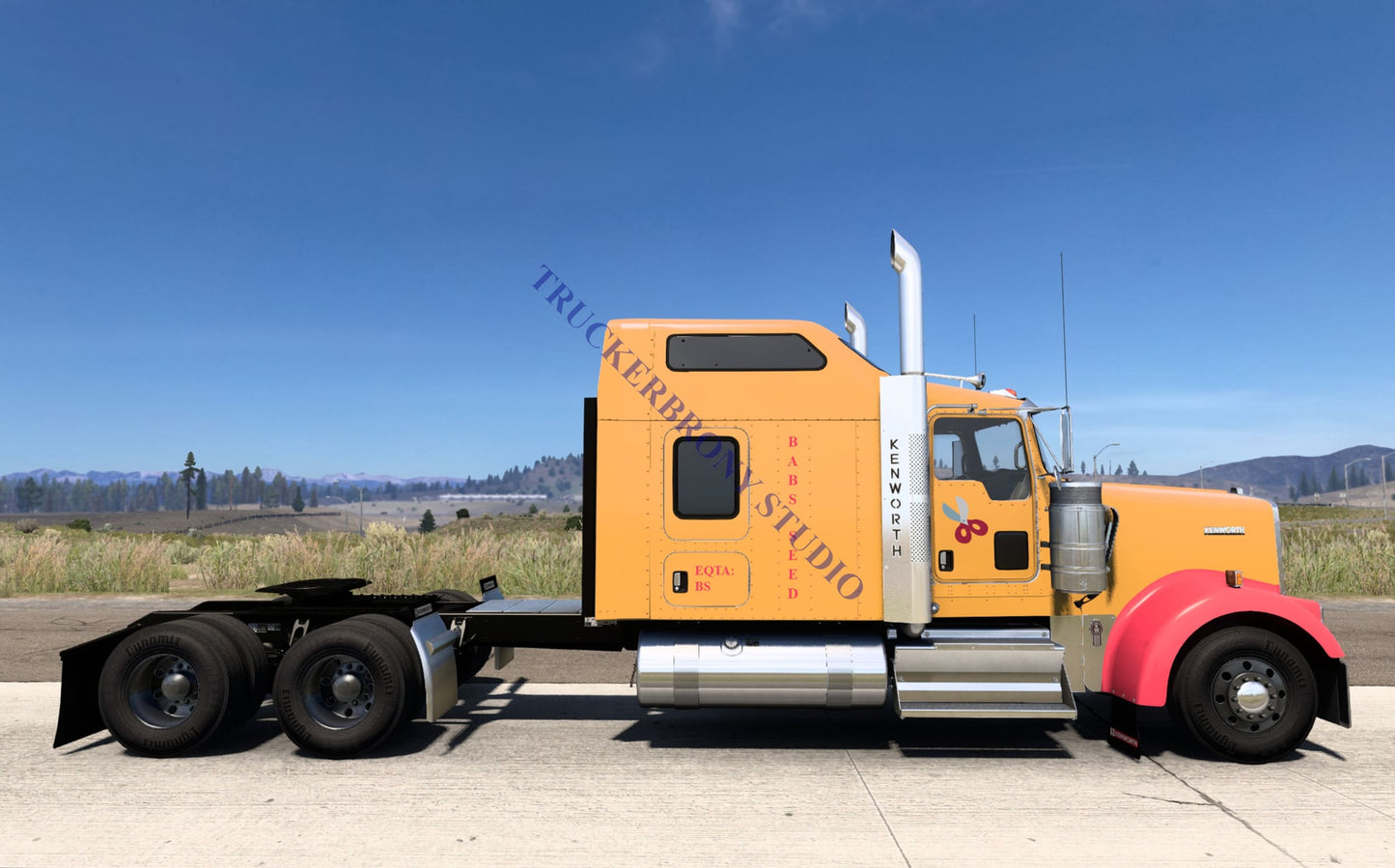 Babs Seed Kenworth W9000 (Digital Image)