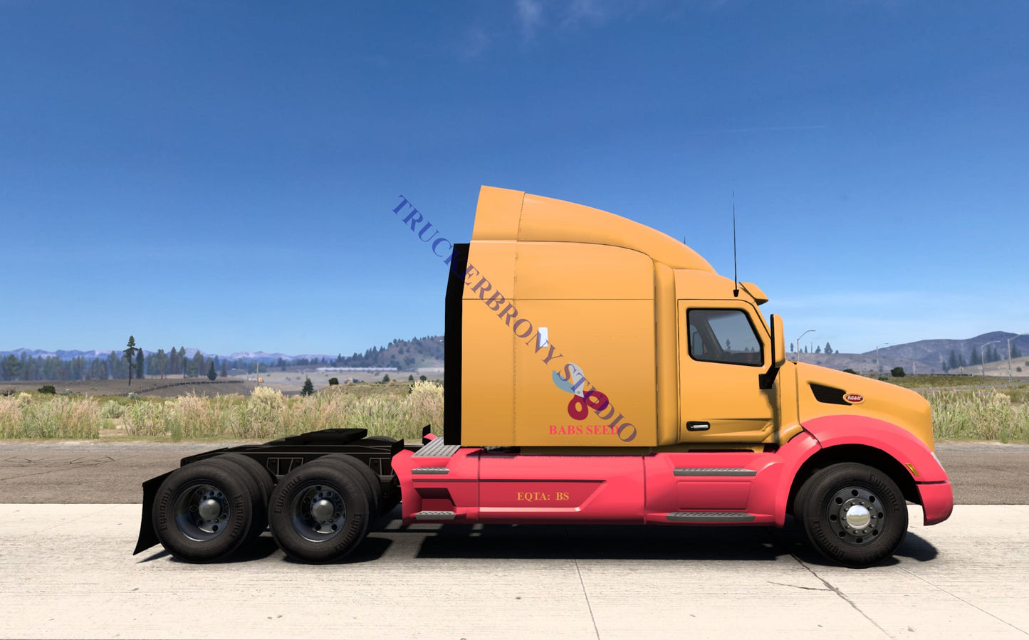 Babs Seed Peterbilt 579 (Digital Image)