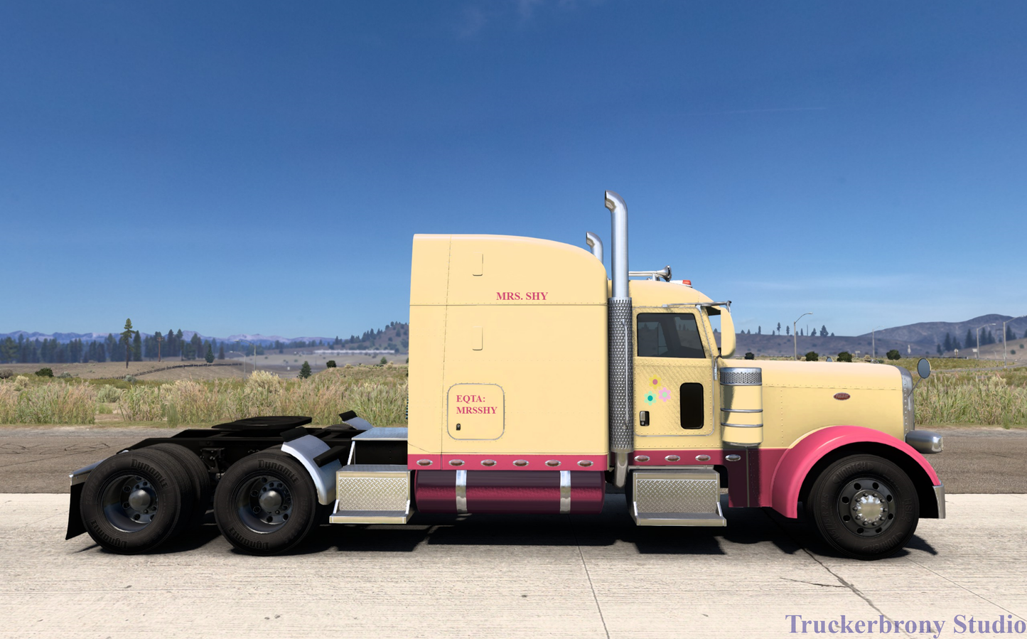 Mrs. Shy Peterbilt 389 (Digital Image)