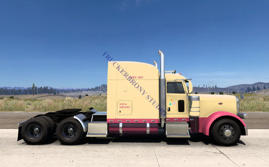 Mrs. Shy Peterbilt 389 (Digital Image)